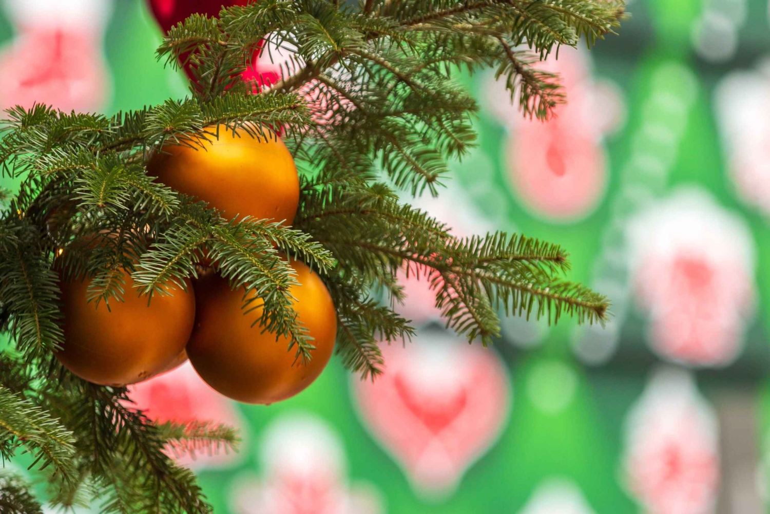 Magical Christmas Markets and Bites Walking Tour in Budapest