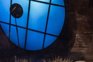 Michael Jackson HIStory Exhibition Entry Ticket