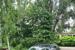 Munich: Private Transfer to Budapest with Stops + tickets