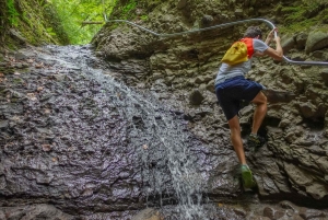 Een dag wandeltocht - De essentie van de Donauknie