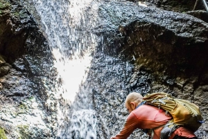 Een dag wandeltocht - De essentie van de Donauknie