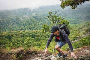 Een dag wandeltocht - De essentie van de Donauknie