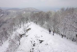 Een dag wandeltocht - De essentie van de Donauknie
