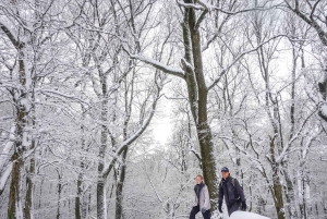 Een dag wandeltocht - De essentie van de Donauknie