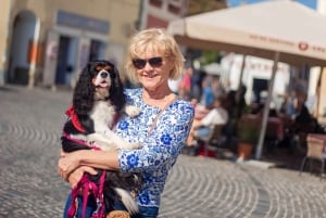 Private 1-hour Szentendre photography experience