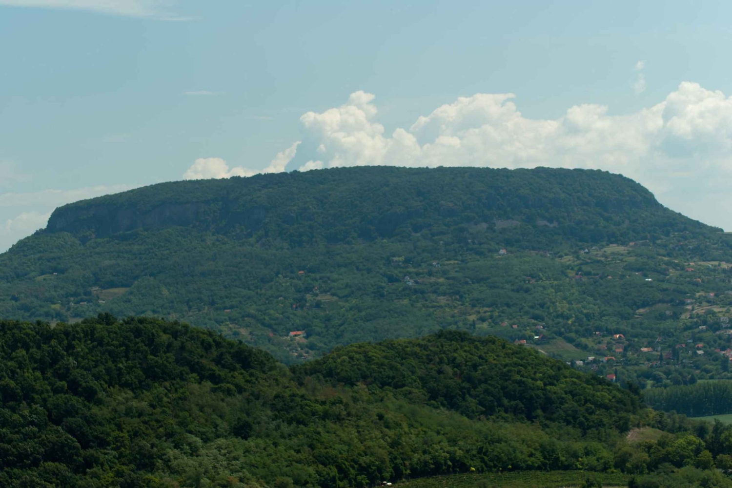 Privat vandring på Badacsony-vulkanen med utsikt över Balatonsjön