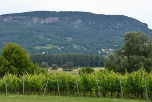 Excursión privada al volcán Badacsony y vistas del lago Balaton