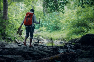 Excursión privada al volcán Badacsony y vistas del lago Balaton