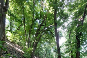 Excursión privada al volcán Badacsony y vistas del lago Balaton