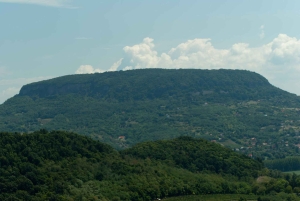 Privat vandring på Badacsony-vulkanen med utsikt över Balatonsjön