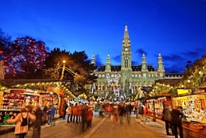 Private Christmas day trip from Budapest to Vienna & back