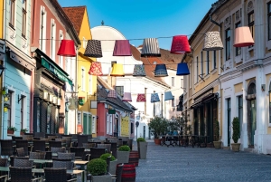 Частное знакомство с излучинами Дуная с Габором