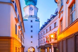 Privatchaufför hela dagen från Budapest till Wien & Bratislava