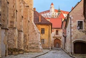 Visite privée de Bratislava et du château de Devin au départ de Vienne