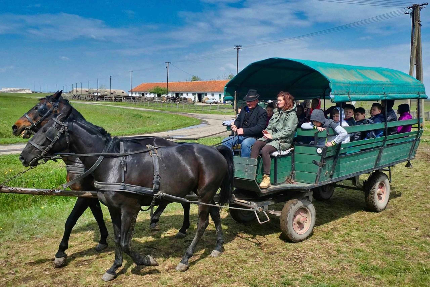 Puszta Tour und Pferdeshow