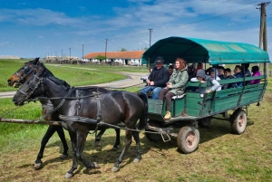 Puszta Tour und Pferdeshow