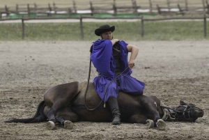 Puszta Tour und Pferdeshow