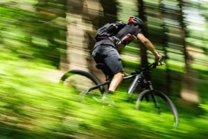 Halvprivat terrängcykeltur i Budabergen