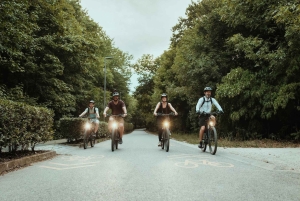 Tour semi-privado de bicicleta elétrica off-road nas colinas de Buda