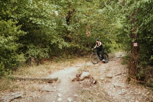 Tour semi-privado de bicicleta elétrica off-road nas colinas de Buda