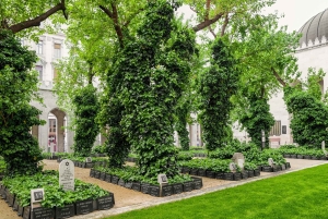 Wycieczka prywatna do Synagogi przy ulicy Dohány w Budapeszcie bez czekania w kolejce