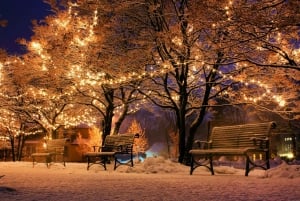 Special Magical Christmas Tour in Budapest