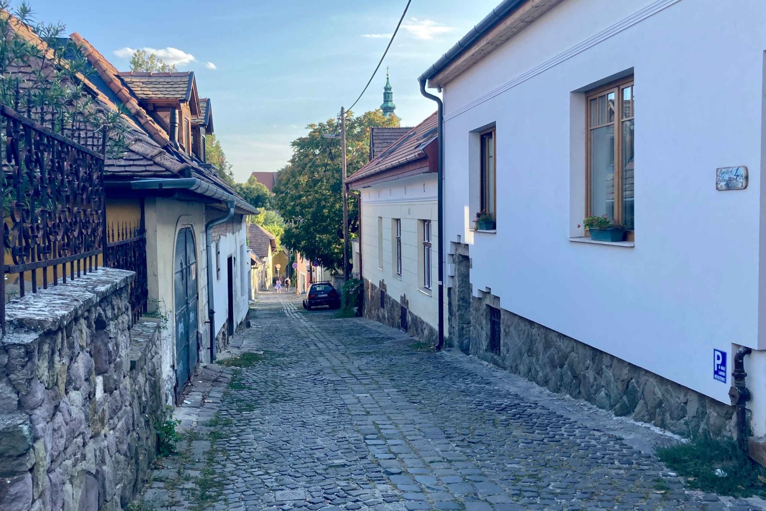 Szentendre: Excursão de Artes e Cafés (Excursão de meio dia em privado)