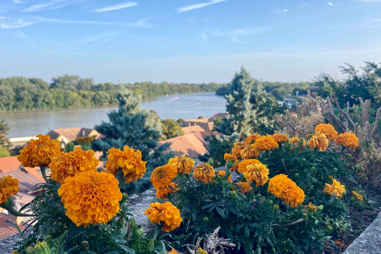 Szentendre: Excursão de Artes e Cafés (Excursão de meio dia em privado)