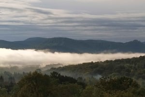 Szentendre, Visegrád och Esztergom – privat tur till Donaus krök