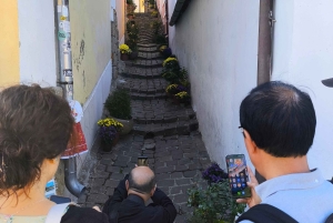 Szentendre, Visegrád och Esztergom – privat tur till Donaus krök