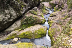 Szentendre, Visegrád och Esztergom – privat tur till Donaus krök