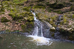 Szentendre, Visegrád och Esztergom – privat tur till Donaus krök