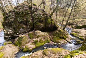 Szentendre, Visegrád och Esztergom – privat tur till Donaus krök