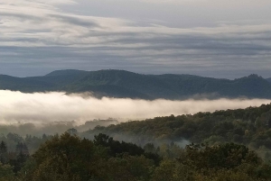 Szentendre, Visegrád och Esztergom – privat tur till Donaus krök