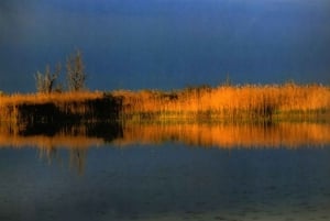 El: Puszta húngara desde Budapest, tour de día completo