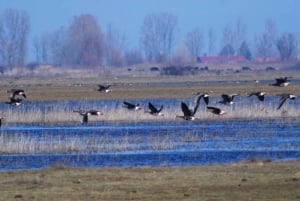 El: Puszta húngara desde Budapest, tour de día completo