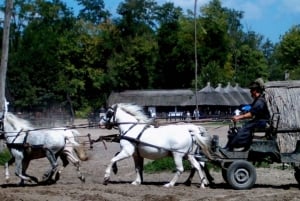 El: Puszta húngara desde Budapest, tour de día completo