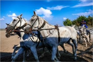 El: Puszta húngara desde Budapest, tour de día completo