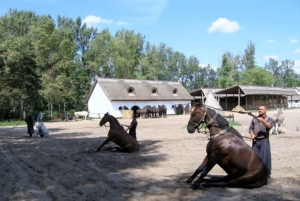 Wycieczka całodniowa z Budapesztu na węgierską pusztę