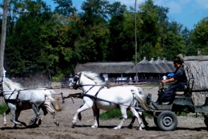 Wycieczka całodniowa z Budapesztu na węgierską pusztę