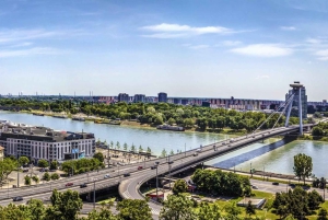 Vienna: Bratislava & Budapest Small Group Guided Day Tour