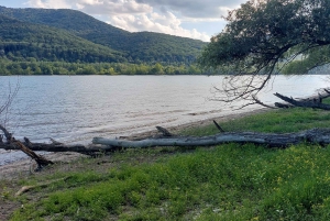 Visegrád Hike & Castle Tour with Ferry from Budapest