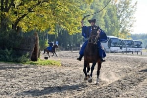 Countryside ranch, horse show & lunch