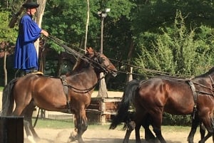 Countryside ranch, horse show & lunch