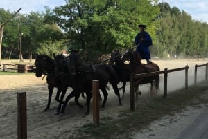 Countryside ranch, horse show & lunch