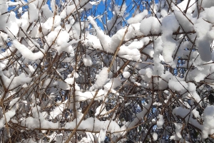 Promenad till nya och gamla andliga helgedomar nära Budapest