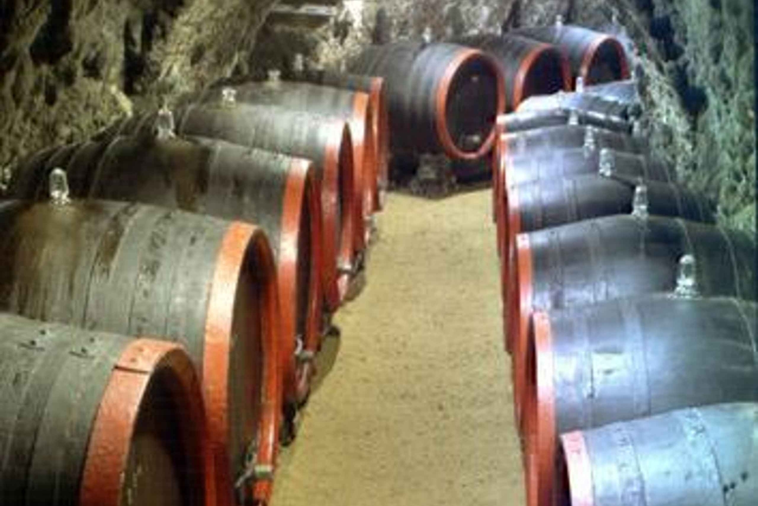 Vinprovning i Tokaj Privat dagstur från Budapest