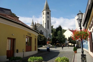 Vinprovning i Tokaj Privat dagstur från Budapest