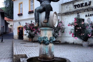 Vinprovning i Tokaj Privat dagstur från Budapest
