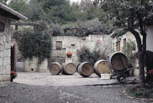 Vinprovning i Tokaj Privat dagstur från Budapest